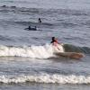 surfer.jpg